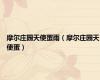 摩尔庄园天使蛋雨（摩尔庄园天使蛋）