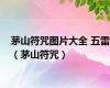茅山符咒图片大全 五雷（茅山符咒）