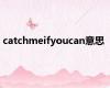 catchmeifyoucan意思