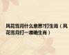 风花雪月什么意思?打生肖（风花雪月打一准确生肖）