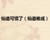 仙道可惜了（仙道难成）