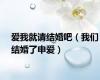 爱我就请结婚吧（我们结婚了申爱）
