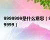 9999999是什么意思（99999）