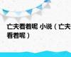 亡夫看着呢 小说（亡夫看着呢）