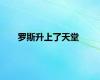 罗斯升上了天堂