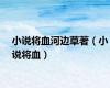 小说将血河边草著（小说将血）