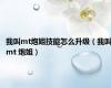 我叫mt炮姐技能怎么升级（我叫mt 炮姐）