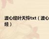 渡心经叶天怜txt（渡心经）