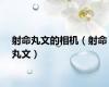 射命丸文的相机（射命丸文）