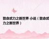 致命武力之新世界 小说（致命武力之新世界）