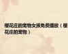 樱花庄的宠物女孩免费播放（樱花庄的宠物）