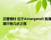 汉普顿村 位于Amargansit 离海滩只有几步之遥