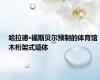 哈拉德·福斯贝尔预制的体育馆木桁架式墙体
