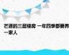 芒通的三层楼房 一年四季都要养一家人