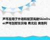 芦苇是用于外墙和屋顶海拔SkinOver芦苇别墅在贝格 弗尤拉 奥地利