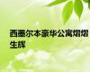 西墨尔本豪华公寓熠熠生辉