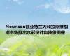 Nourison在亚特兰大和拉斯维加斯市场推出水彩设计和抽象图像