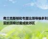 弗兰克斯顿和韦里比领导维多利亚的顶级过度成就郊区