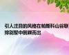 引人注目的风格在帕斯科山谷联排别墅中脱颖而出