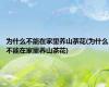 为什么不能在家里养山茶花(为什么不能在家里养山茶花)