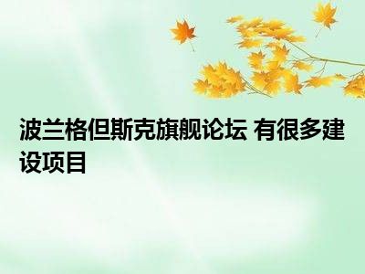 波兰有很多建设项目旗舰斯克论坛