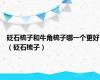 砭石梳子和牛角梳子哪一个更好（砭石梳子）