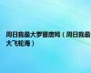周日我最大罗晋唐嫣（周日我最大飞轮海）