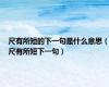 尺有所短的下一句是什么意思（尺有所短下一句）