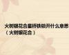 火树银花合星桥铁锁开什么意思（火树银花合）