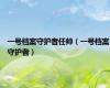 一号档案守护者任帅（一号档案守护者）