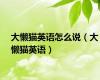 大懒猫英语怎么说（大懒猫英语）