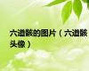 六道骸的图片（六道骸头像）