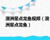 澳洲星点龙鱼视频（澳洲星点龙鱼）
