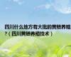 四川什么地方有大批的黄鳝养殖?（四川黄鳝养殖技术）