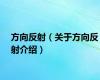 方向反射（关于方向反射介绍）