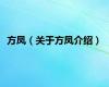 方凤（关于方凤介绍）