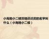 小海地小二楼异地还迁房的名字叫什么（小海地小二楼）