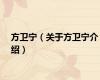 方卫宁（关于方卫宁介绍）