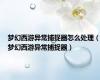 梦幻西游异常捕捉器怎么处理（梦幻西游异常捕捉器）