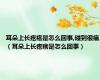 耳朵上长疙瘩是怎么回事,碰到很痛（耳朵上长疙瘩是怎么回事）