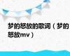梦的怒放的歌词（梦的怒放mv）