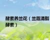 酵素养兰花（兰蔲清脂酵素）