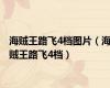海贼王路飞4档图片（海贼王路飞4档）