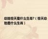 动地惊天是什么生肖?（惊天动地是什么生肖）