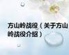 方山岭战役（关于方山岭战役介绍）