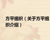 方平组织（关于方平组织介绍）