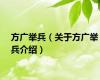 方广举兵（关于方广举兵介绍）
