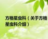 方格星虫科（关于方格星虫科介绍）
