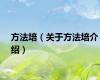 方法培（关于方法培介绍）