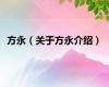 方永（关于方永介绍）